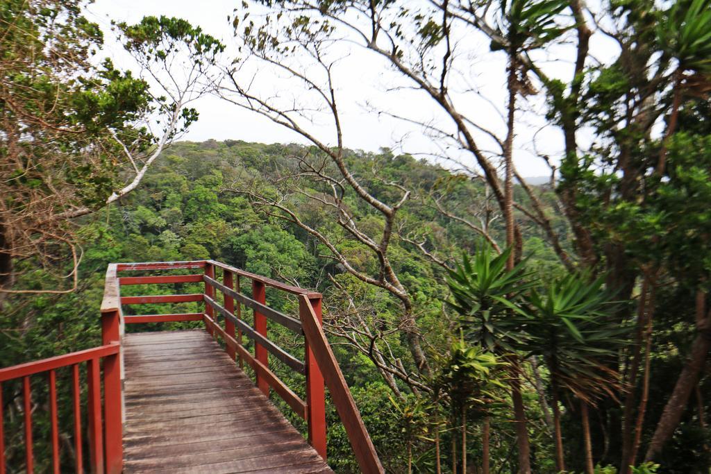 Hotel Las Orquideas Monteverde Exterior photo